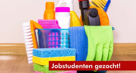 (vergroot foto)